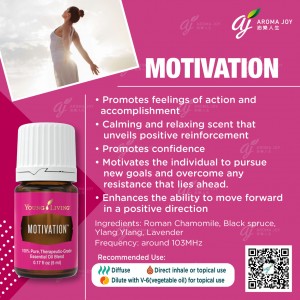 Motivation 激發